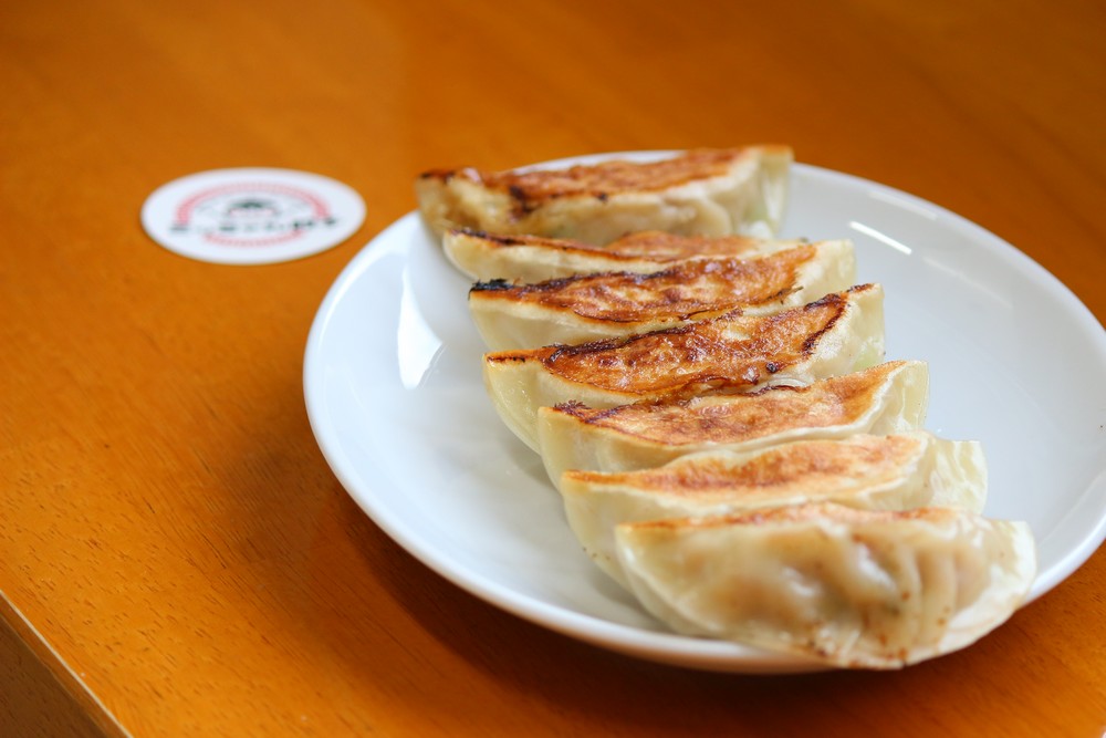 ミッちゃん餃子 焼餃子